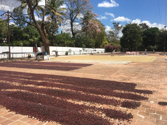 El Salvador Santa Ana